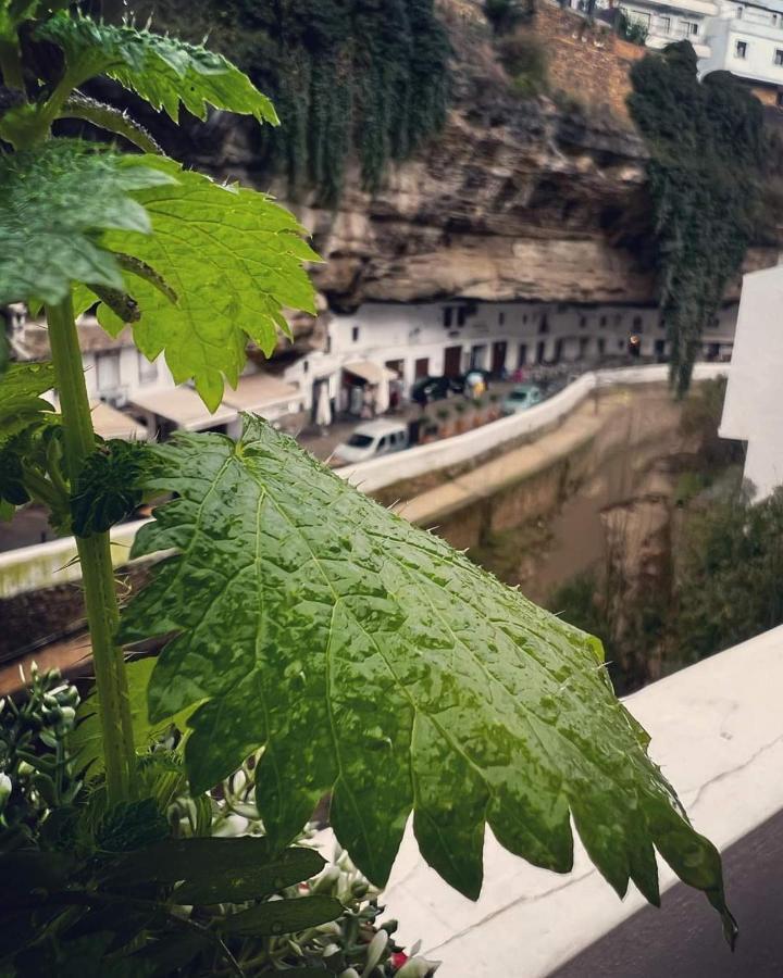 Casa Bajo La Roca Villa Setenil De Las Bodegas Luaran gambar